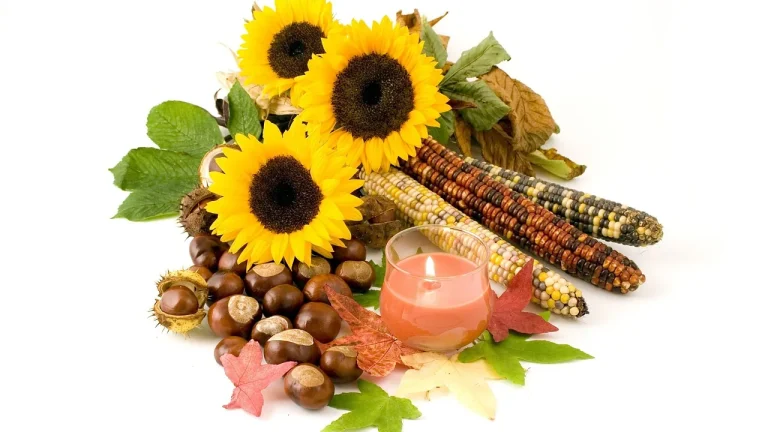 Jesienne świece Kringle Candle: zapachy liści, drewna i przypraw