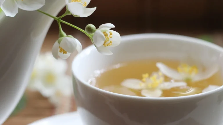 Zielona herbata jaśminowa Yogi Tea: mieszanki ajurwedyjskie