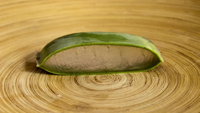 Tonik Biotique z miodem i aloesem: czy pasuje do każdej cery?