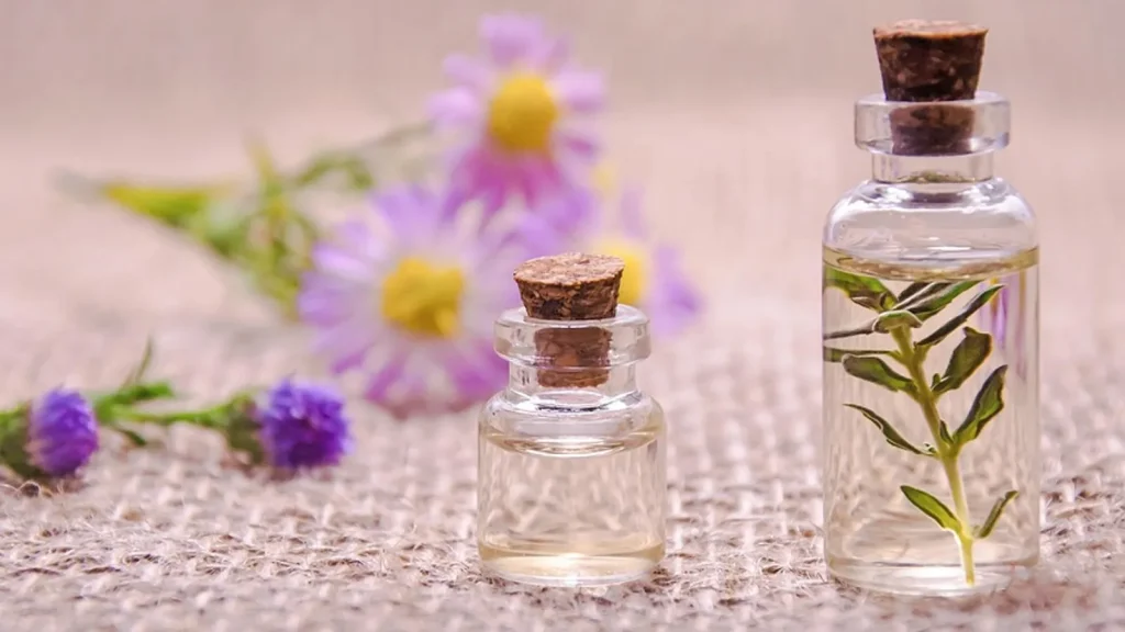 An amber essential oil bottle on a slice of cedar wood with pine cones.