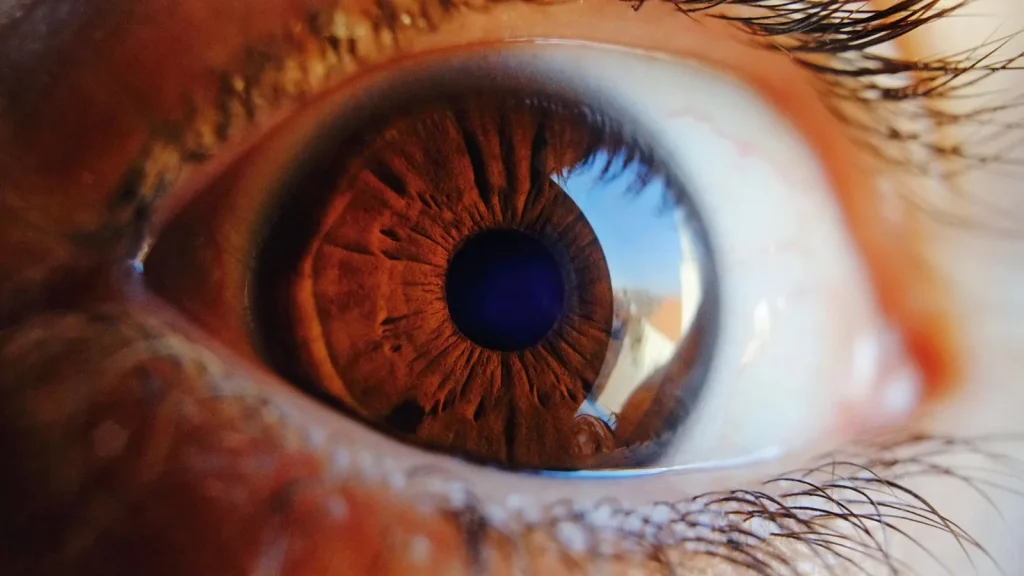 Extreme close-up of long, thick eyelashes with a mascara wand and a small serum bottle.