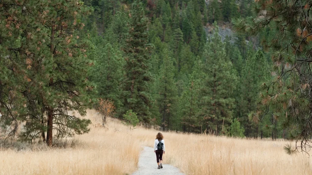 A woman traveler with a backpack looking out over mountains, a book and map nearby.