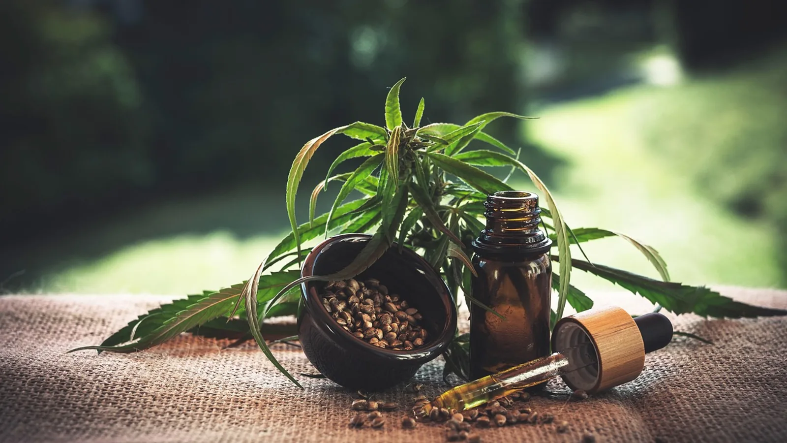 Olej konopny w pielęgnacji włosów: linia Joanna Cannabis Seed