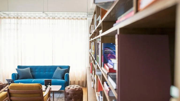 Domowa biblioteczka: jak przechowywać i eksponować książki
