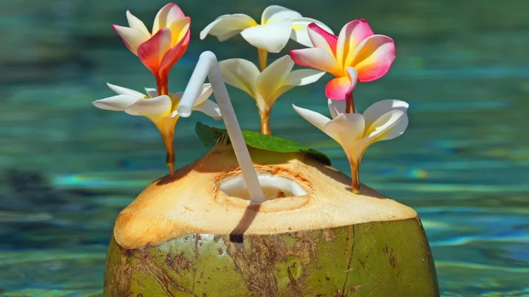 Woda kokosowa Cocosa Natural Coconut Water: orzeźwienie i nawodnienie